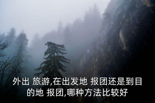外出 旅游,在出发地 报团还是到目的地 报团,哪种方法比较好