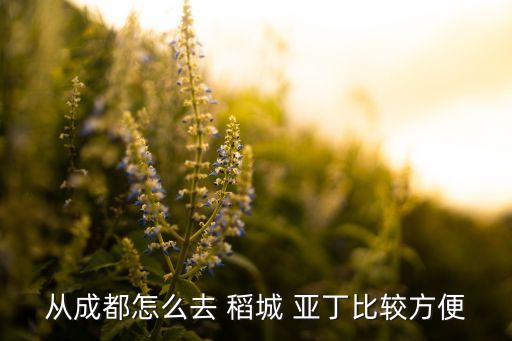 如何去稻城亚丁,去稻城亚丁的旅游路线及费用