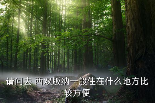 请问去 西双版纳一般住在什么地方比较方便