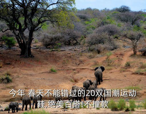 今年 春天不能错过的20双国潮运动鞋,绝美百搭!不撞款