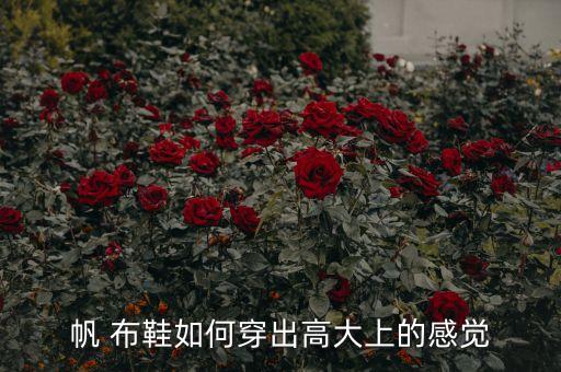 帆 布鞋如何穿出高大上的感觉