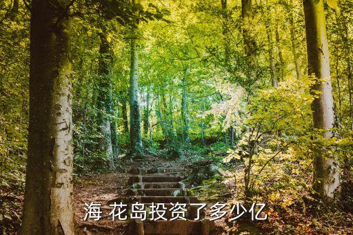 海 花岛投资了多少亿
