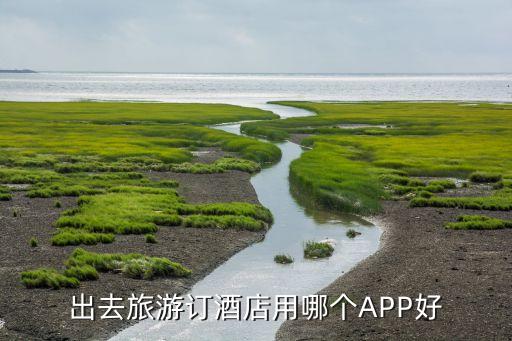 出去旅游订酒店用哪个APP好