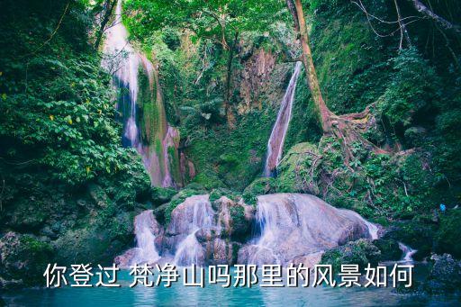 你登过 梵净山吗那里的风景如何