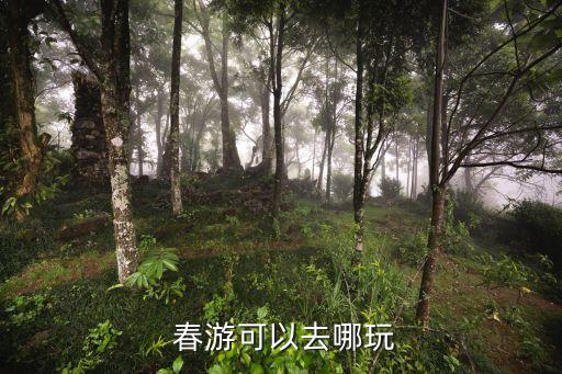 三年级春游推荐卡图片