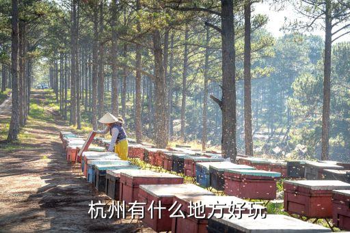 杭州旅游五日游攻略,上海杭州苏州乌镇五日游旅游