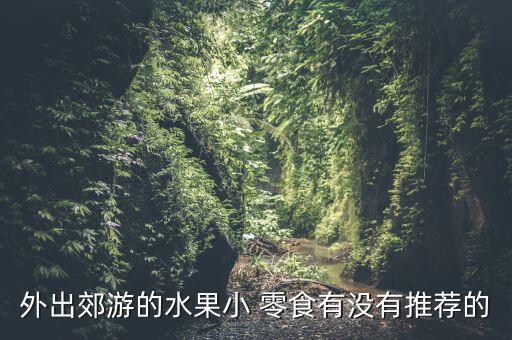 外出郊游的水果小 零食有没有推荐的