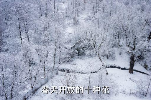 春天开放的十种花