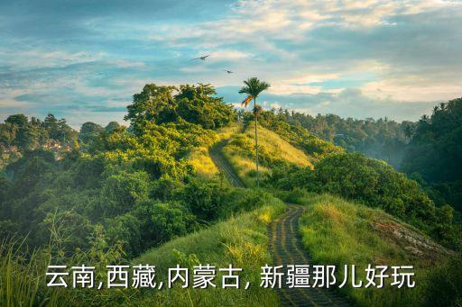 云南,西藏,内蒙古, 新疆那儿好玩