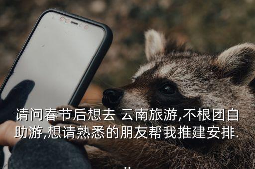 请问春节后想去 云南旅游,不根团自助游,想请熟悉的朋友帮我推建安排...