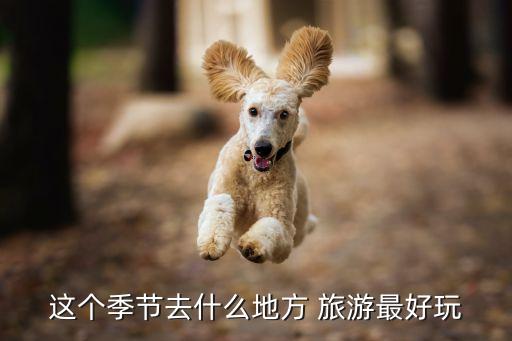 这个季节去什么地方 旅游最好玩