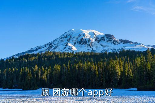跟 团游哪个app好