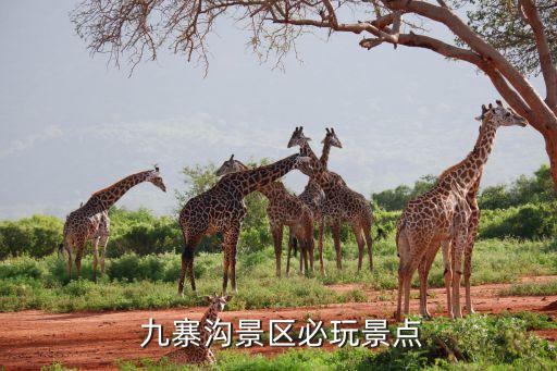  九寨沟景区必玩景点
