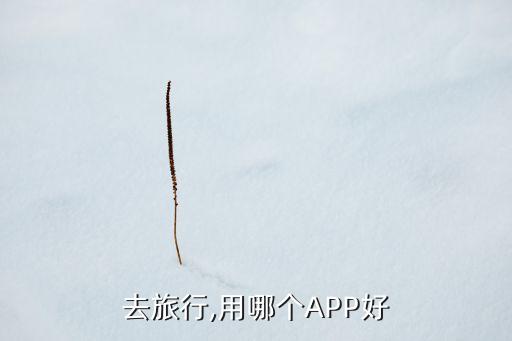 去旅行,用哪个APP好