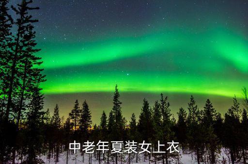 中老年夏装女上衣