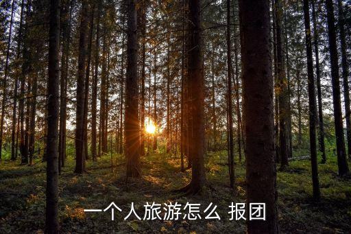一个人旅游怎么 报团