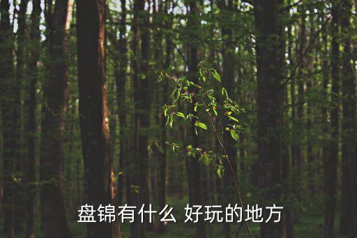  盘锦有什么 好玩的地方