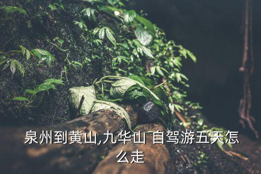  泉州到黄山,九华山 自驾游五天怎么走