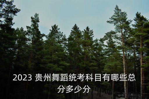 2023 贵州舞蹈统考科目有哪些总分多少分