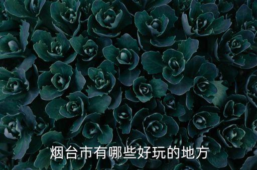  烟台市有哪些好玩的地方