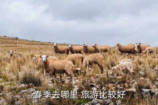  春季去哪里 旅游比较好