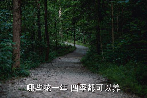 哪些花一年 四季都可以养