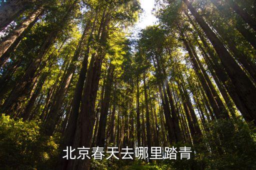 中国最适合春游的地方是哪里