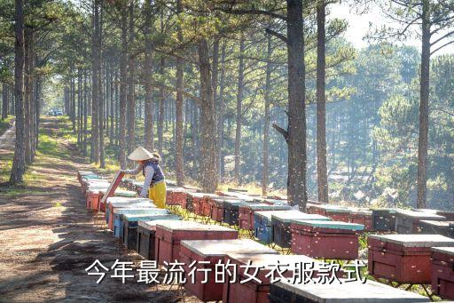 今年最流行的女衣服款式