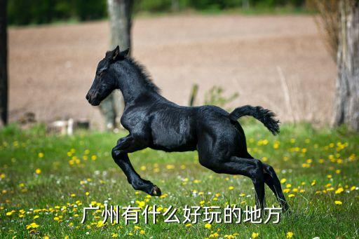  广州有什么好玩的地方