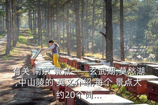 有关 南京 景点——玄武湖,莫愁湖,中山陵的 英文介绍,每个 景点大约20个词...