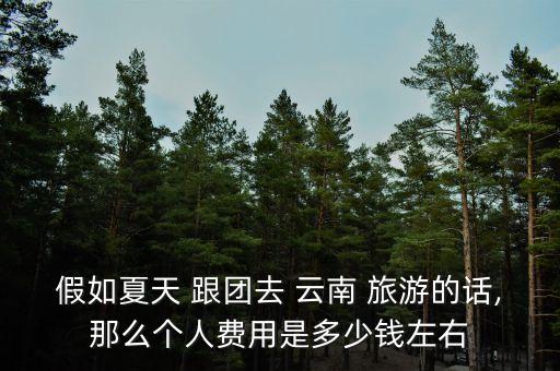 假如夏天 跟团去 云南 旅游的话,那么个人费用是多少钱左右