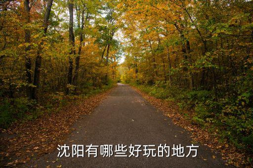  沈阳有哪些好玩的地方