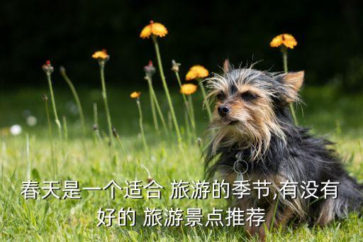 春天是一个适合 旅游的季节,有没有好的 旅游景点推荐