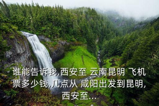 谁能告诉我,西安至 云南昆明 飞机票多少钱,几点从 咸阳出发到昆明,西安至...