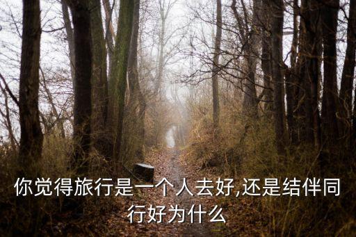 你觉得旅行是一个人去好,还是结伴同行好为什么
