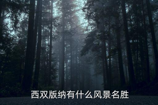  西双版纳有什么风景名胜