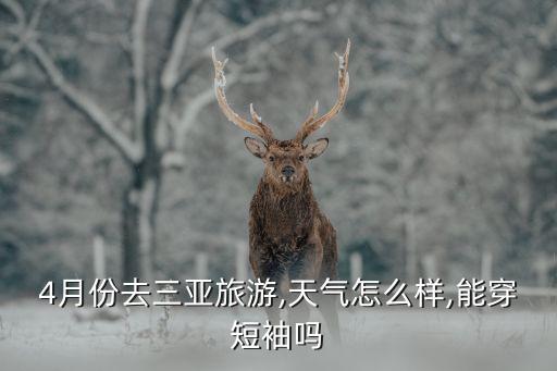 4月份去三亚旅游,天气怎么样,能穿短袖吗