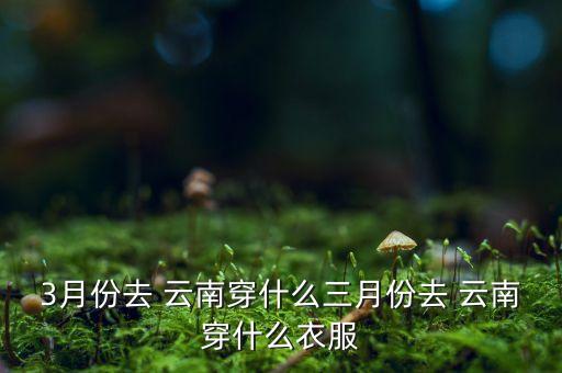 云南旅游天气穿衣指南,4月云南旅游穿衣指南