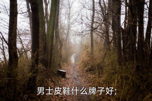  男士皮鞋什么牌子好;