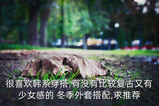 很喜欢韩系穿搭,有没有比较复古又有少女感的 冬季外套搭配,求推荐