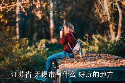 江苏省 无锡市有什么 好玩的地方