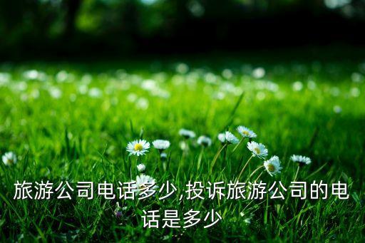 深圳旅游公司电话多少,投诉旅游公司的电话是多少