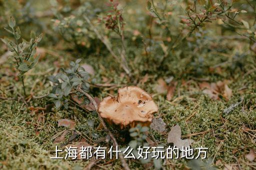  上海都有什么好玩的地方
