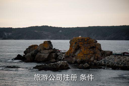 旅游公司注册 条件