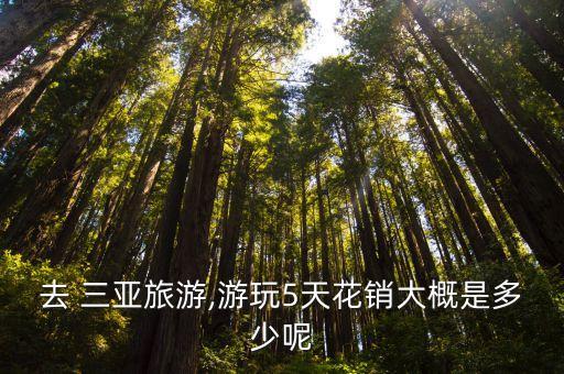 去 三亚旅游,游玩5天花销大概是多少呢