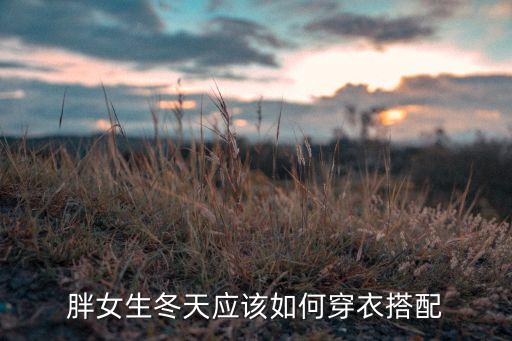 胖女生冬天应该如何穿衣搭配