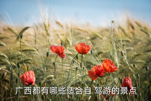  广西都有哪些适合自 驾游的景点