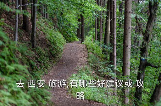 去 西安 旅游,有哪些好建议或 攻略